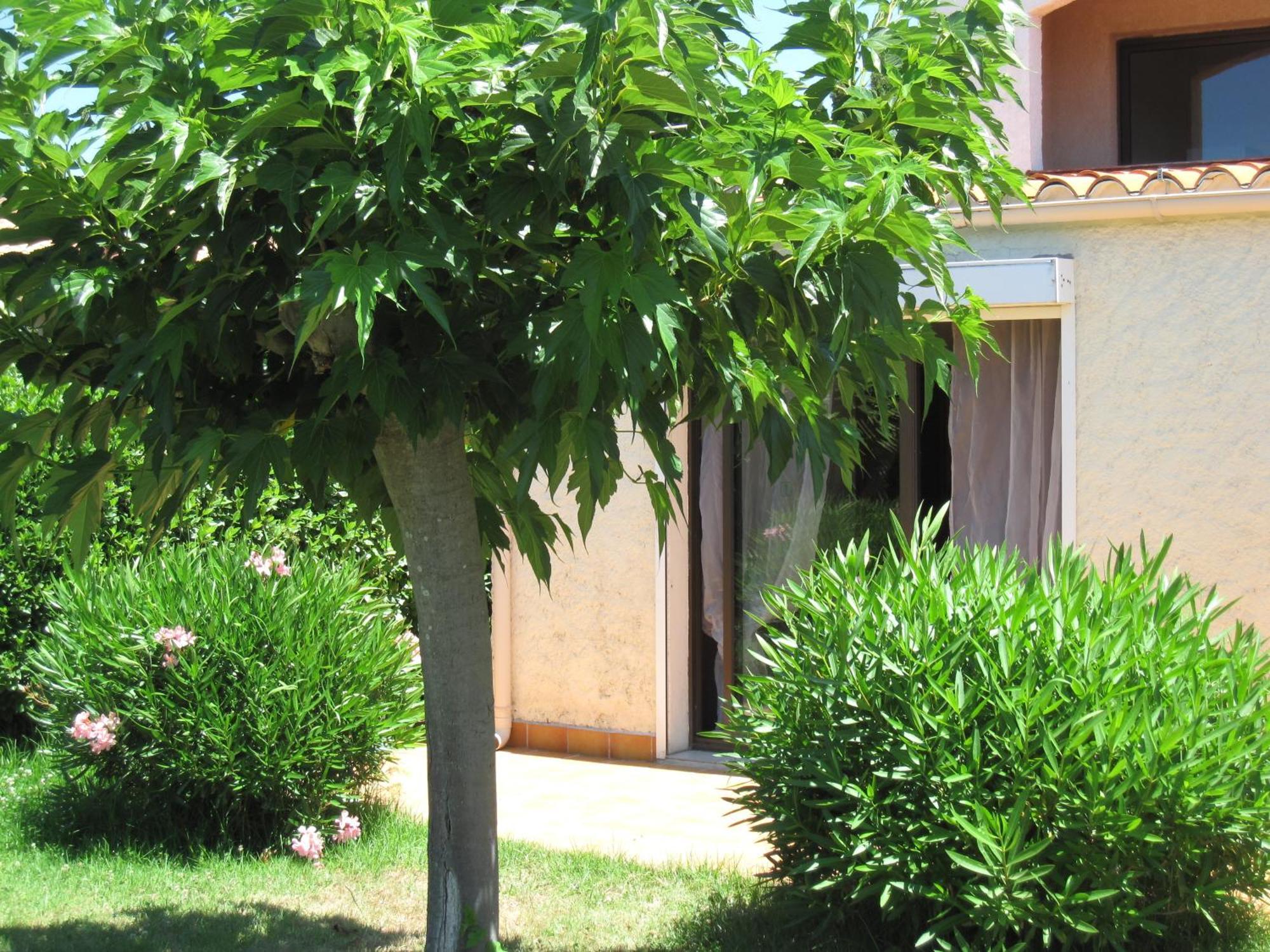 Residence Les Bell'Ombres Cargese Ngoại thất bức ảnh